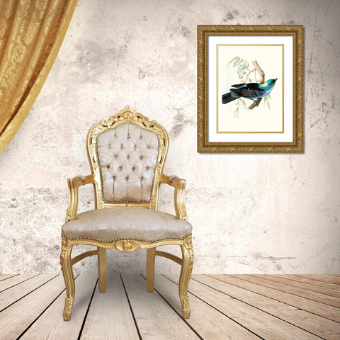 On Perch VII Gold Ornate Wood Framed Art Print with Double Matting by Unknown