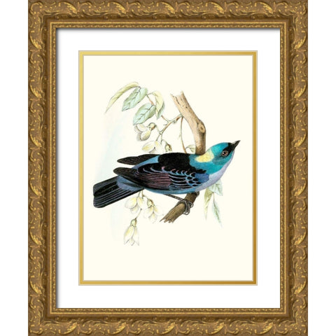 On Perch VII Gold Ornate Wood Framed Art Print with Double Matting by Unknown