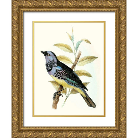 On Perch VIII Gold Ornate Wood Framed Art Print with Double Matting by Unknown