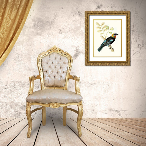 On Perch IX Gold Ornate Wood Framed Art Print with Double Matting by Unknown