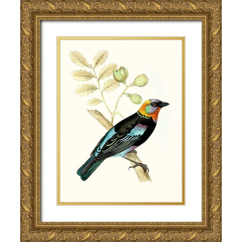 On Perch IX Gold Ornate Wood Framed Art Print with Double Matting by Unknown