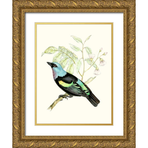 On Perch X Gold Ornate Wood Framed Art Print with Double Matting by Unknown
