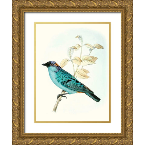 On Perch XII Gold Ornate Wood Framed Art Print with Double Matting by Unknown
