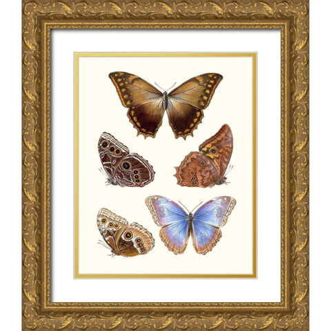 Violet Butterflies I Gold Ornate Wood Framed Art Print with Double Matting by Unknown