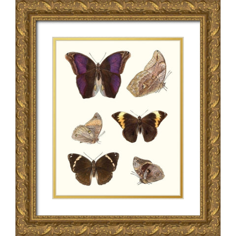 Violet Butterflies II Gold Ornate Wood Framed Art Print with Double Matting by Unknown