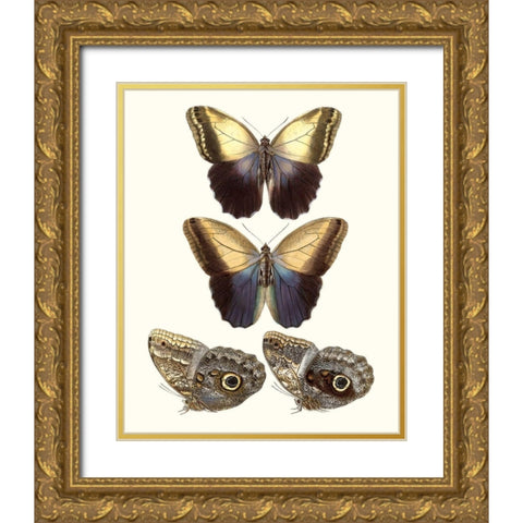 Violet Butterflies III Gold Ornate Wood Framed Art Print with Double Matting by Unknown