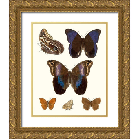 Violet Butterflies IV Gold Ornate Wood Framed Art Print with Double Matting by Unknown