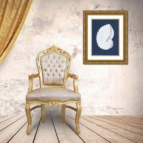 Coquillages Blancs V Gold Ornate Wood Framed Art Print with Double Matting by Vision Studio