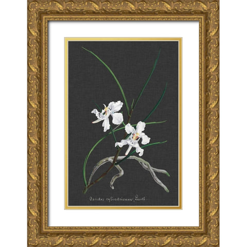 Orchid on Slate II Gold Ornate Wood Framed Art Print with Double Matting by Vision Studio