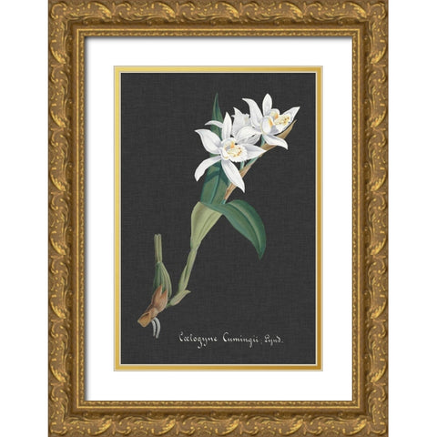 Orchid on Slate III Gold Ornate Wood Framed Art Print with Double Matting by Vision Studio