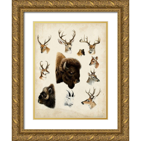 Western Animal Species I Gold Ornate Wood Framed Art Print with Double Matting by Unknown