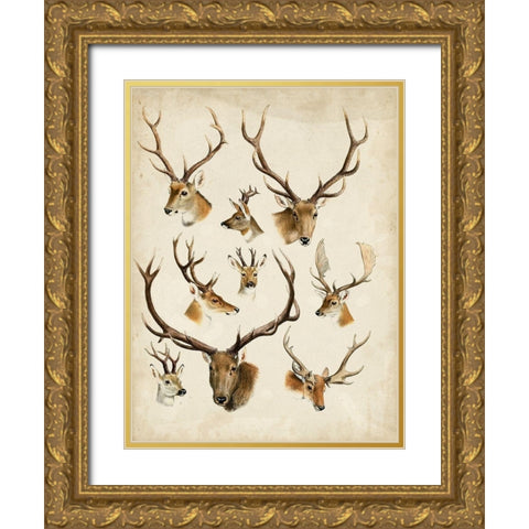 Western Animal Species II Gold Ornate Wood Framed Art Print with Double Matting by Unknown