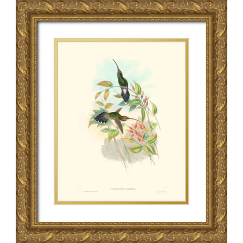 Hummingbird Delight I Gold Ornate Wood Framed Art Print with Double Matting by Gould, John