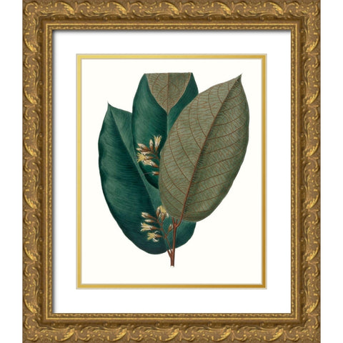 Fall Foliage I Gold Ornate Wood Framed Art Print with Double Matting by Unknown
