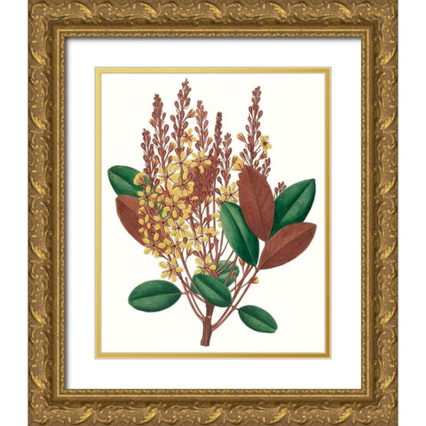 Fall Foliage II Gold Ornate Wood Framed Art Print with Double Matting by Unknown