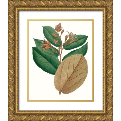 Fall Foliage III Gold Ornate Wood Framed Art Print with Double Matting by Unknown