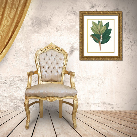 Fall Foliage IV Gold Ornate Wood Framed Art Print with Double Matting by Unknown