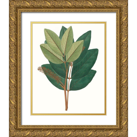 Fall Foliage IV Gold Ornate Wood Framed Art Print with Double Matting by Unknown