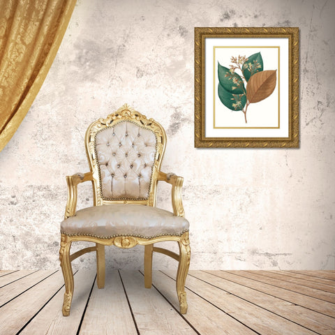 Fall Foliage V Gold Ornate Wood Framed Art Print with Double Matting by Unknown
