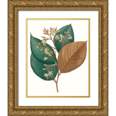 Fall Foliage V Gold Ornate Wood Framed Art Print with Double Matting by Unknown