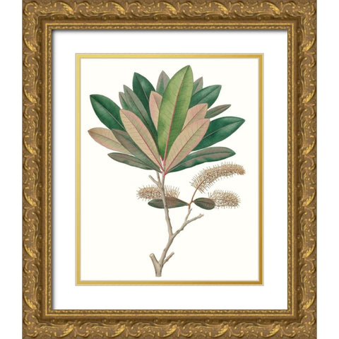 Fall Foliage VI Gold Ornate Wood Framed Art Print with Double Matting by Unknown