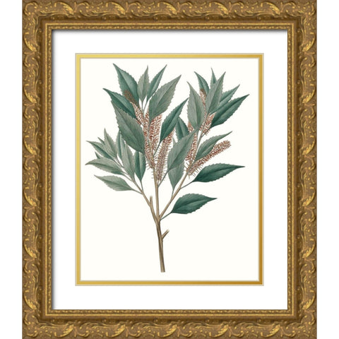 Fall Foliage VIII Gold Ornate Wood Framed Art Print with Double Matting by Unknown