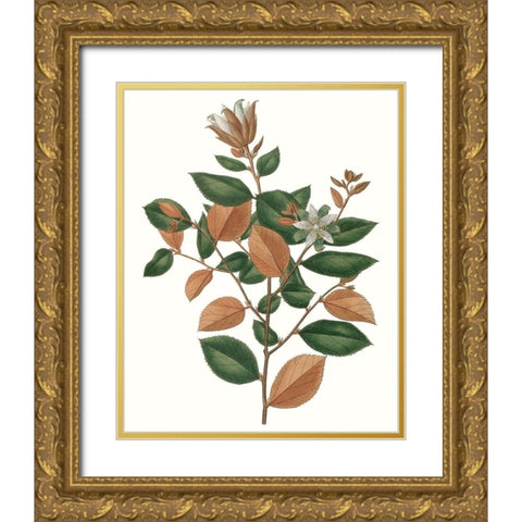 Fall Foliage IX Gold Ornate Wood Framed Art Print with Double Matting by Unknown