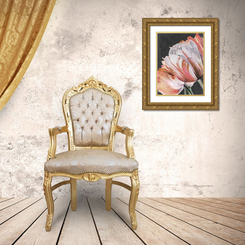 Pastel Parrot Tulips III Gold Ornate Wood Framed Art Print with Double Matting by Parker, Jennifer Paxton