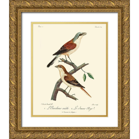 Vintage French Birds I Gold Ornate Wood Framed Art Print with Double Matting by de Langlois