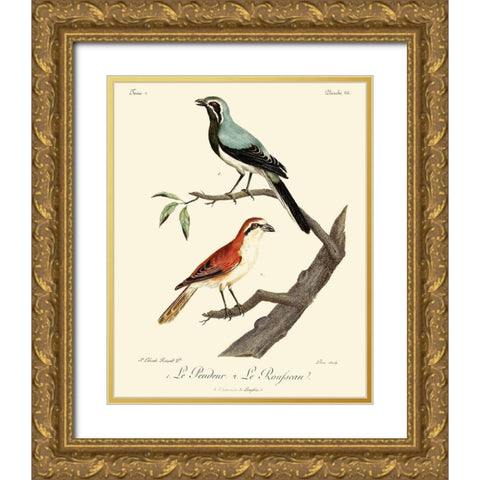 Vintage French Birds II Gold Ornate Wood Framed Art Print with Double Matting by de Langlois