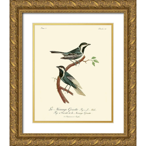 Vintage French Birds III Gold Ornate Wood Framed Art Print with Double Matting by de Langlois