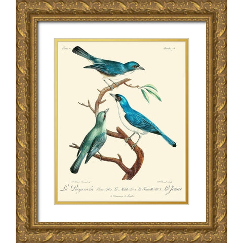 Vintage French Birds IV Gold Ornate Wood Framed Art Print with Double Matting by de Langlois