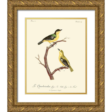 Vintage French Birds V Gold Ornate Wood Framed Art Print with Double Matting by de Langlois