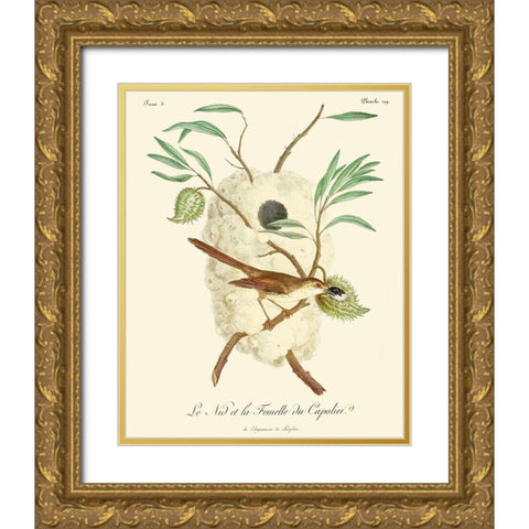 Vintage French Birds VII Gold Ornate Wood Framed Art Print with Double Matting by de Langlois
