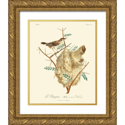 Vintage French Birds VIII Gold Ornate Wood Framed Art Print with Double Matting by de Langlois