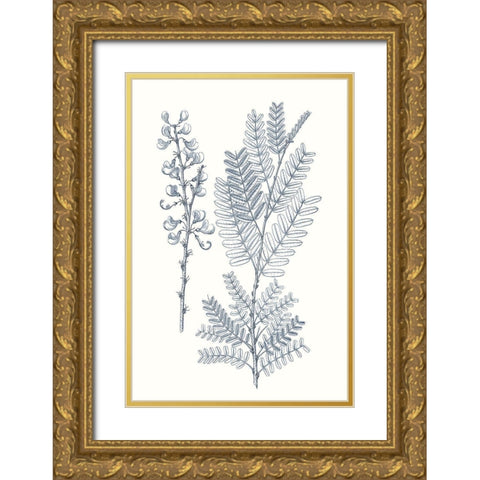 Indigo Botany Study VII Gold Ornate Wood Framed Art Print with Double Matting by Vision Studio