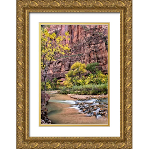 Zion Autumn II Gold Ornate Wood Framed Art Print with Double Matting by Head, Danny