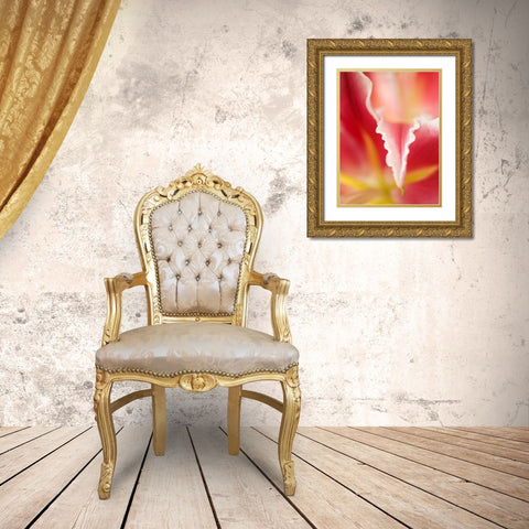 Macro Tulip II Gold Ornate Wood Framed Art Print with Double Matting by Nourock, Jonathan