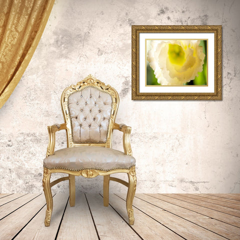 White Lisianthus I Gold Ornate Wood Framed Art Print with Double Matting by Nourock, Jonathan