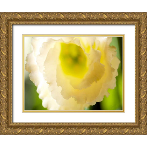 White Lisianthus I Gold Ornate Wood Framed Art Print with Double Matting by Nourock, Jonathan