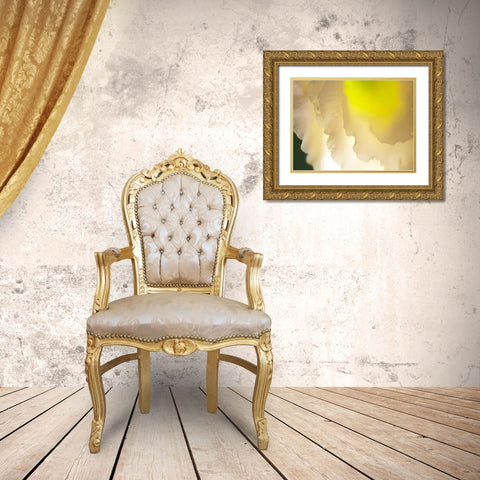 White Lisianthus II Gold Ornate Wood Framed Art Print with Double Matting by Nourock, Jonathan