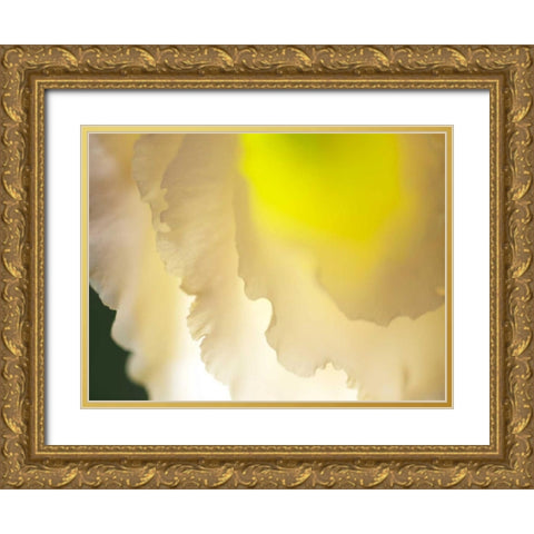 White Lisianthus II Gold Ornate Wood Framed Art Print with Double Matting by Nourock, Jonathan