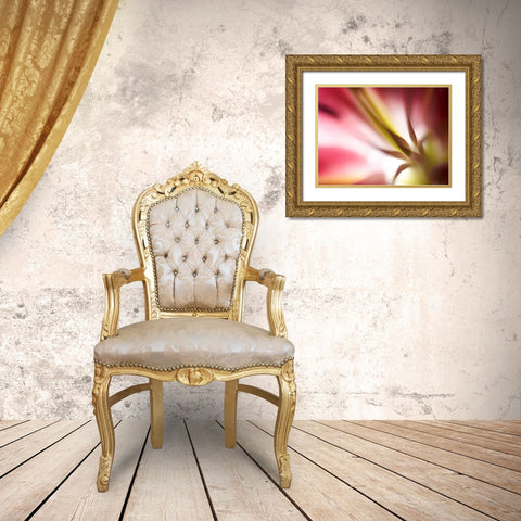 Macro Stargazer I Gold Ornate Wood Framed Art Print with Double Matting by Nourock, Jonathan