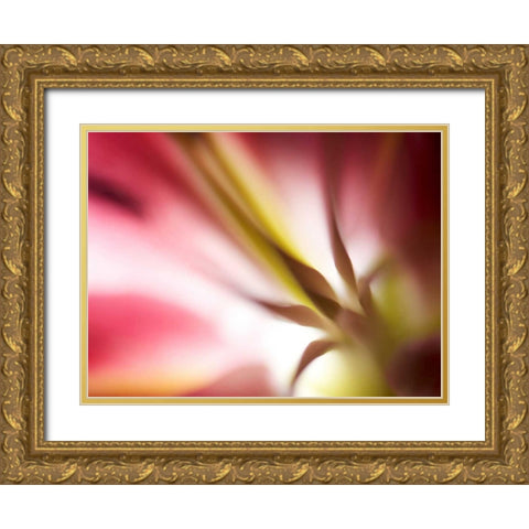 Macro Stargazer I Gold Ornate Wood Framed Art Print with Double Matting by Nourock, Jonathan