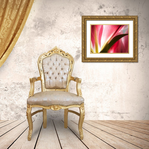 Macro Stargazer III Gold Ornate Wood Framed Art Print with Double Matting by Nourock, Jonathan