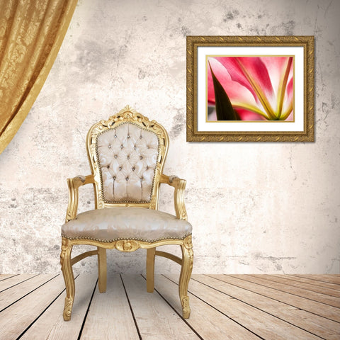 Macro Stargazer IV Gold Ornate Wood Framed Art Print with Double Matting by Nourock, Jonathan