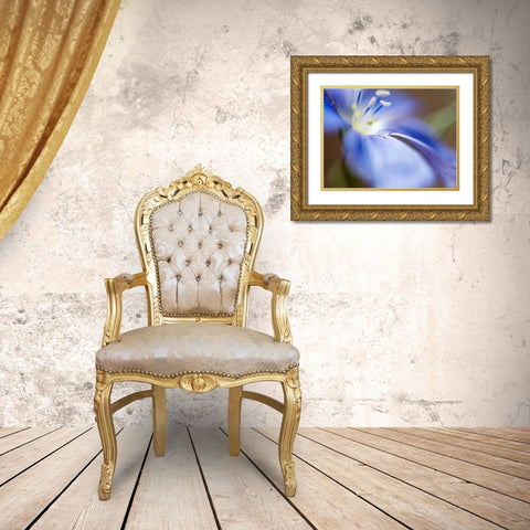 Blue Flax II Gold Ornate Wood Framed Art Print with Double Matting by Nourock, Jonathan