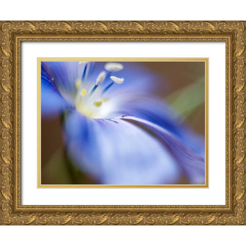 Blue Flax II Gold Ornate Wood Framed Art Print with Double Matting by Nourock, Jonathan