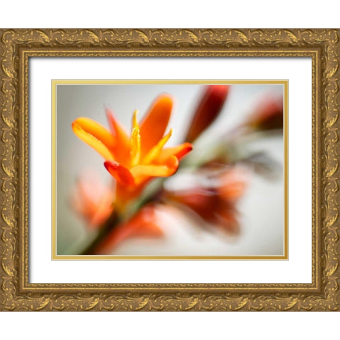 Open Sunshine I Gold Ornate Wood Framed Art Print with Double Matting by Nourock, Jonathan
