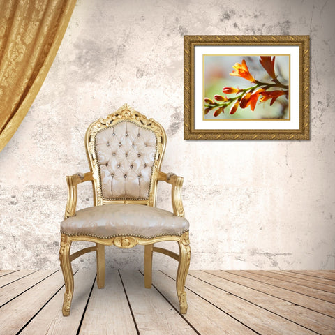 Open Sunshine II Gold Ornate Wood Framed Art Print with Double Matting by Nourock, Jonathan